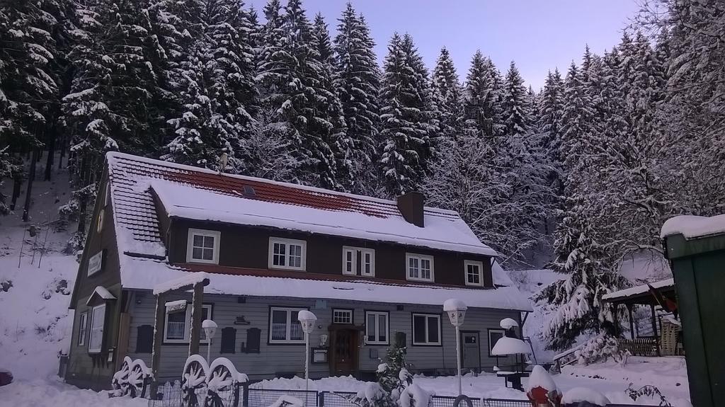 Waldpension Harzer Waldwinkel Bad Grund Exteriér fotografie