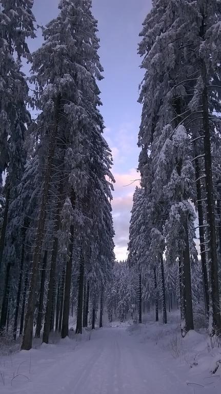 Waldpension Harzer Waldwinkel Bad Grund Exteriér fotografie