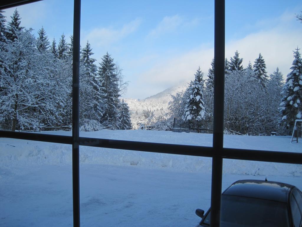 Waldpension Harzer Waldwinkel Bad Grund Exteriér fotografie