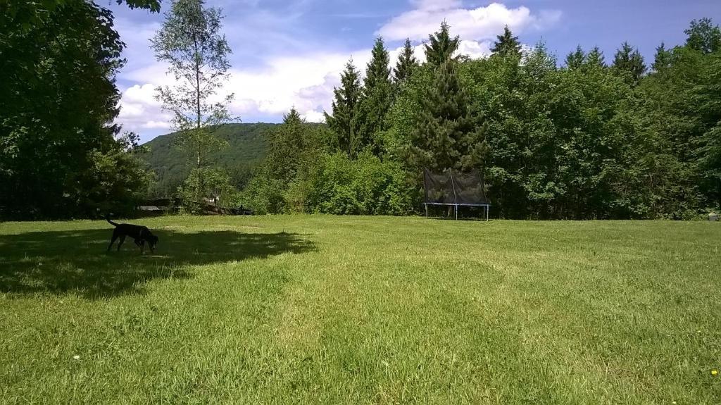 Waldpension Harzer Waldwinkel Bad Grund Exteriér fotografie